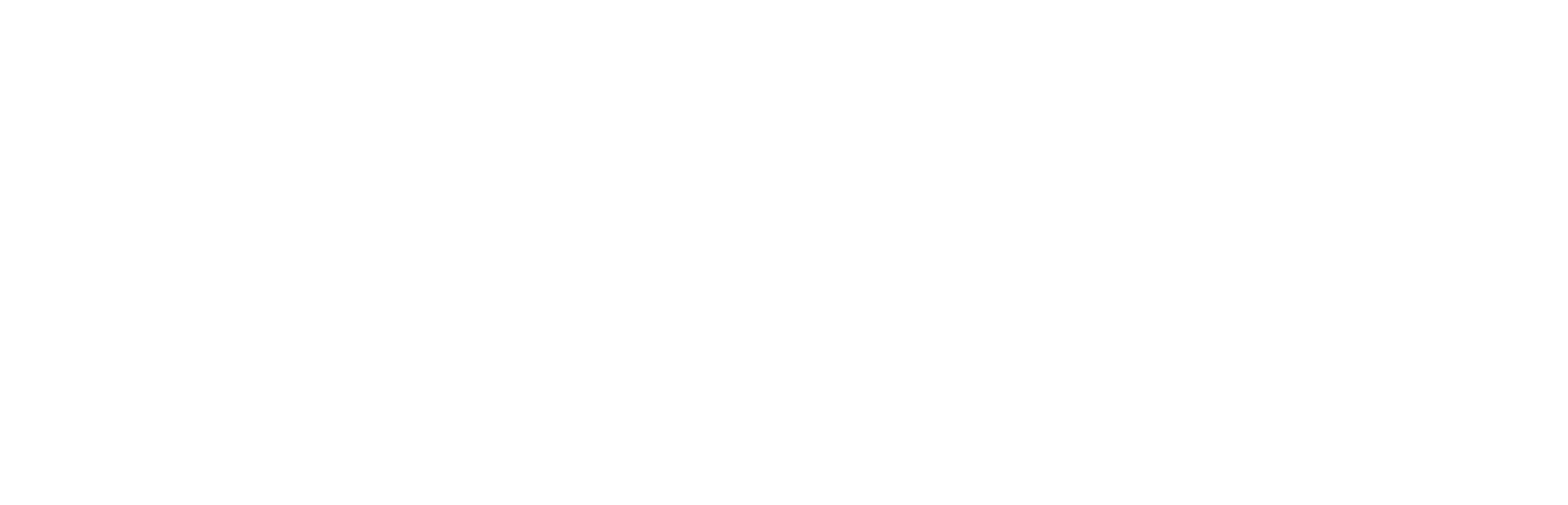 FenS logo transparant wit zonder onderregel